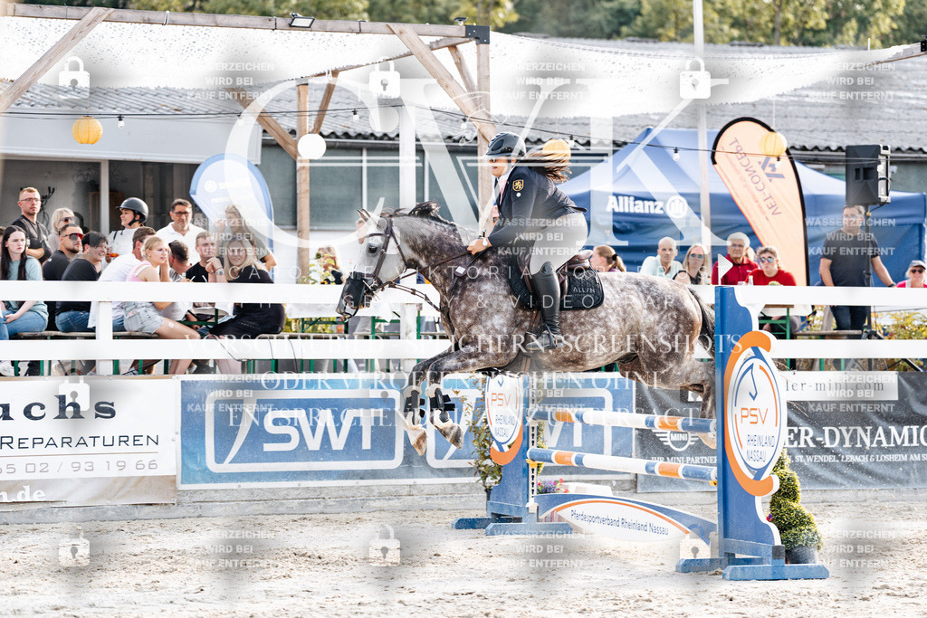 CK907023 | Turnierfotografie Pferdefotografie Trier Rheinland-Pfalz Pferdesport Reitsport Tierfotografie Sportfotografie Pferdevideo Pferdevideografie Equestrianvideography equestrianphotography  - Realisiert mit Pictrs.com
