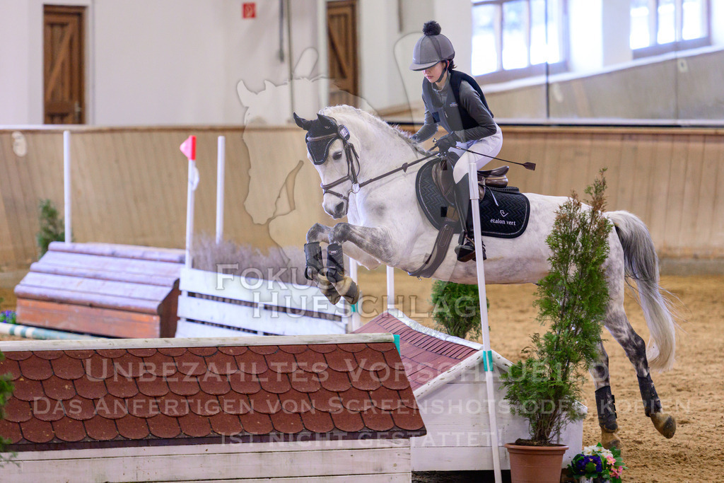 29032026-Schwaiganger-Prfg02-1-0483 | Fokus Hufschlag Fotografie - Realisiert mit Pictrs.com