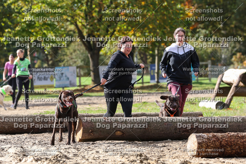 Dog Paparazzi - Strongdog 10-25-5043 | Dog Paparazzi Jeanette Grottendiek Fotografie & Videografie - Realisiert mit Pictrs.com