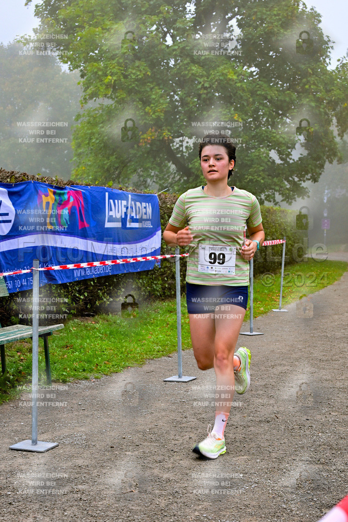 Z8N_2297 | la-psv - Realisiert mit Pictrs.com