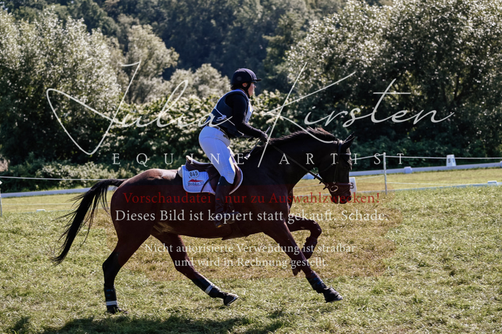 DSC_1639 | Pferde- und Turnierfotografie in Westsachsen. Pferdeportraits, Auftragszeichnungen und intuitive Kunst.