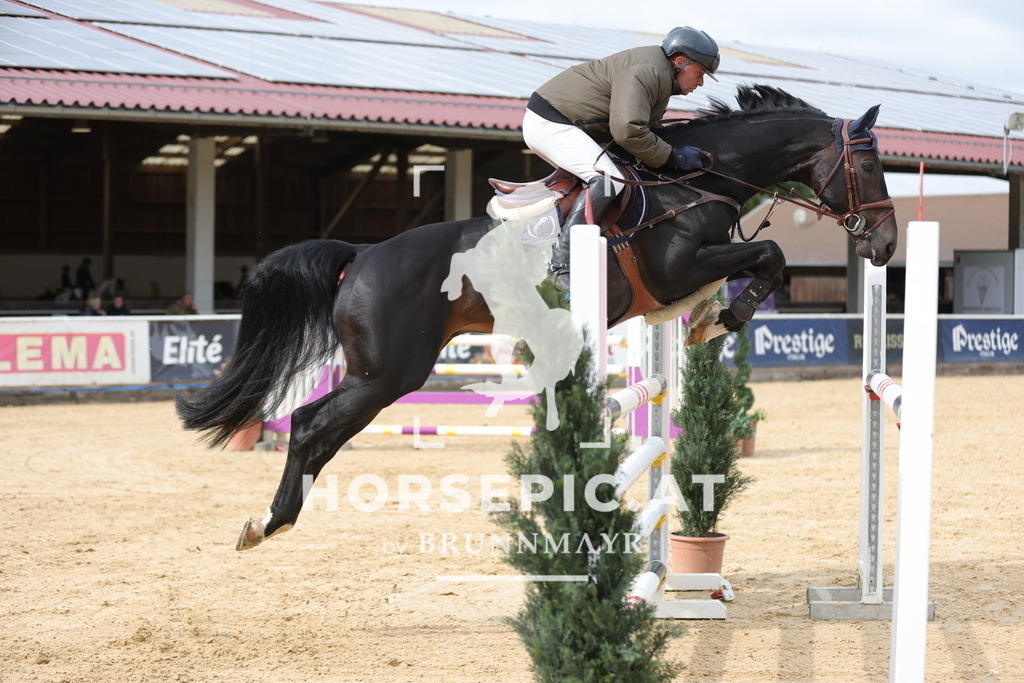 0P6A8620 | Willkommen bei Brunnmayr - Design & Fotografie – Ihrem Spezialisten für Reitturniere und Pferdeveranstaltungen in Oberösterreich, Salzburg und Bayern! Seit über 17 Jahren sind wir leidenschaftlich dabei.