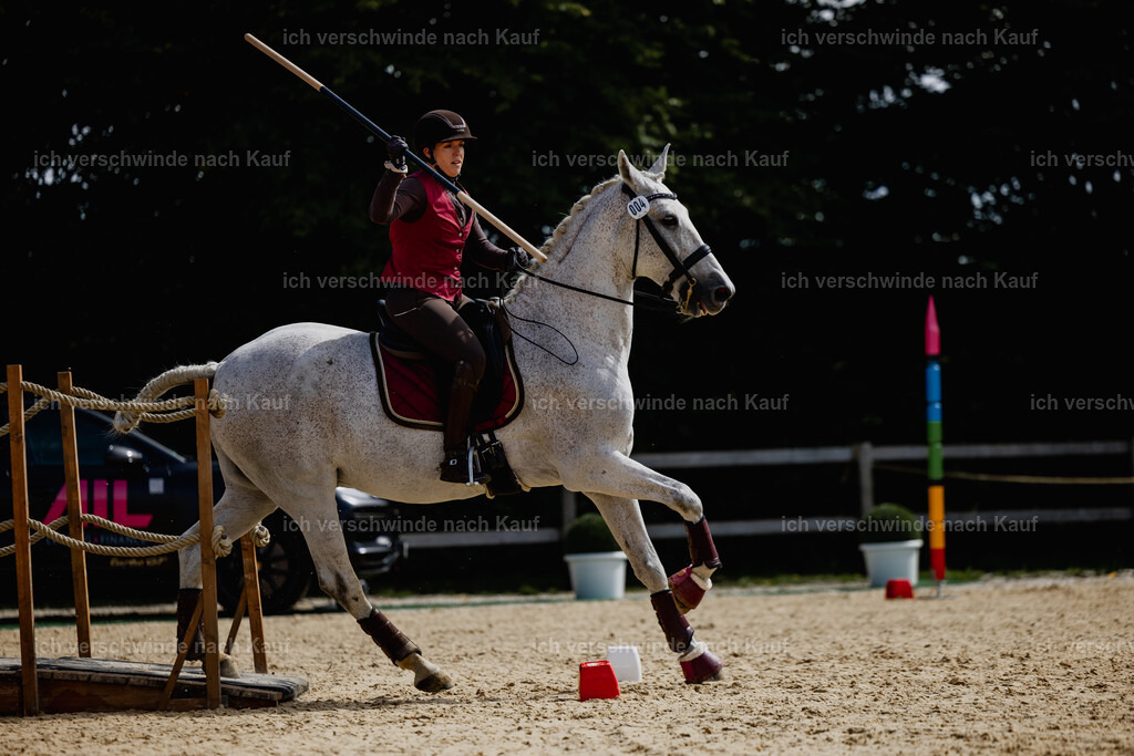 Kelly4_FHC2025-20293 | working equitationturnier fotograf videograf stoibphotography marixx film working equitation deutschland reitsport turnierfotografie eventfotografie equestrian events