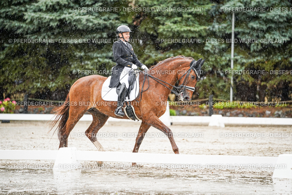 DSC09058 | Pferdegrafie