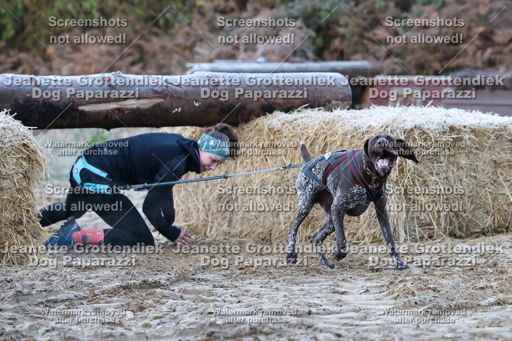 Dog Paparazzi - Strongdog 10-25-195 | Dog Paparazzi Jeanette Grottendiek Fotografie & Videografie - Realisiert mit Pictrs.com