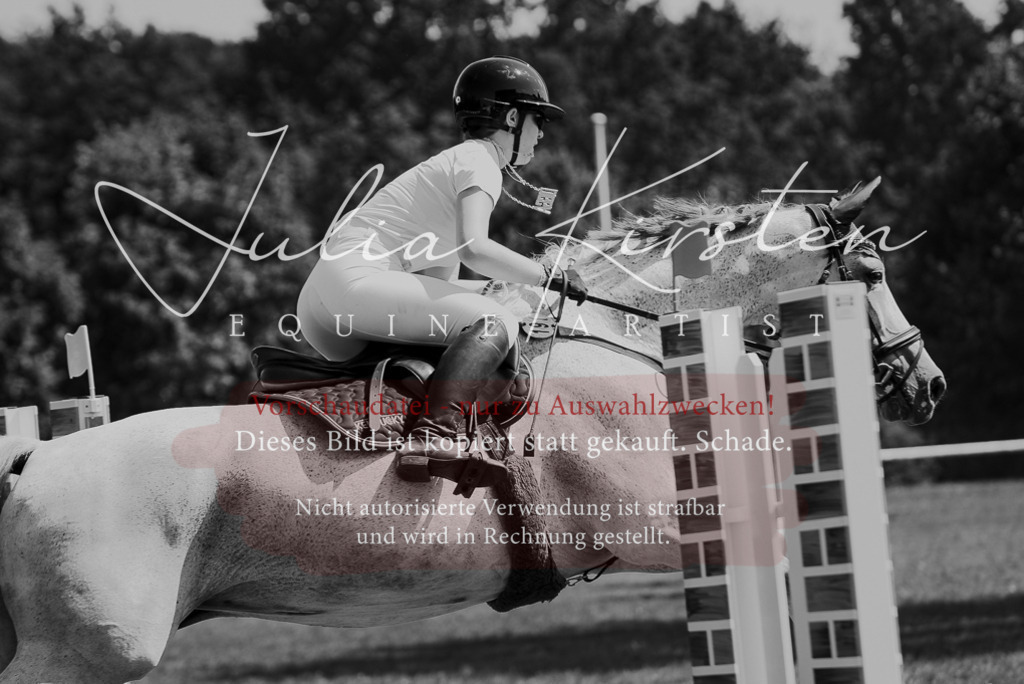 DSC_0183 | Pferde- und Turnierfotografie in Westsachsen. Pferdeportraits, Auftragszeichnungen und intuitive Kunst.
