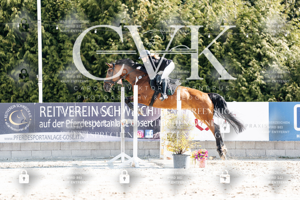 CK902545 | Turnierfotografie Pferdefotografie Trier Rheinland-Pfalz Pferdesport Reitsport Tierfotografie Sportfotografie Pferdevideo Pferdevideografie Equestrianvideography equestrianphotography  - Realisiert mit Pictrs.com