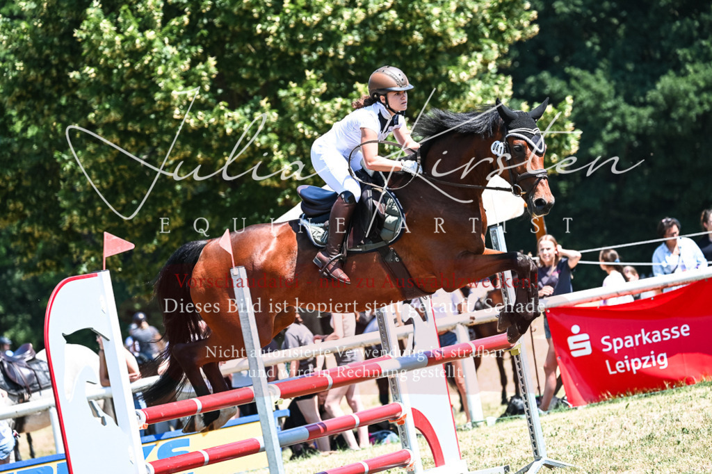 DSC_0395 | Pferde- und Turnierfotografie in Westsachsen. Pferdeportraits, Auftragszeichnungen und intuitive Kunst.