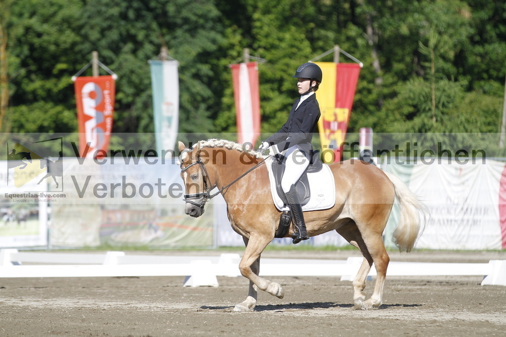 _MG_0532 | equestrian-live-com