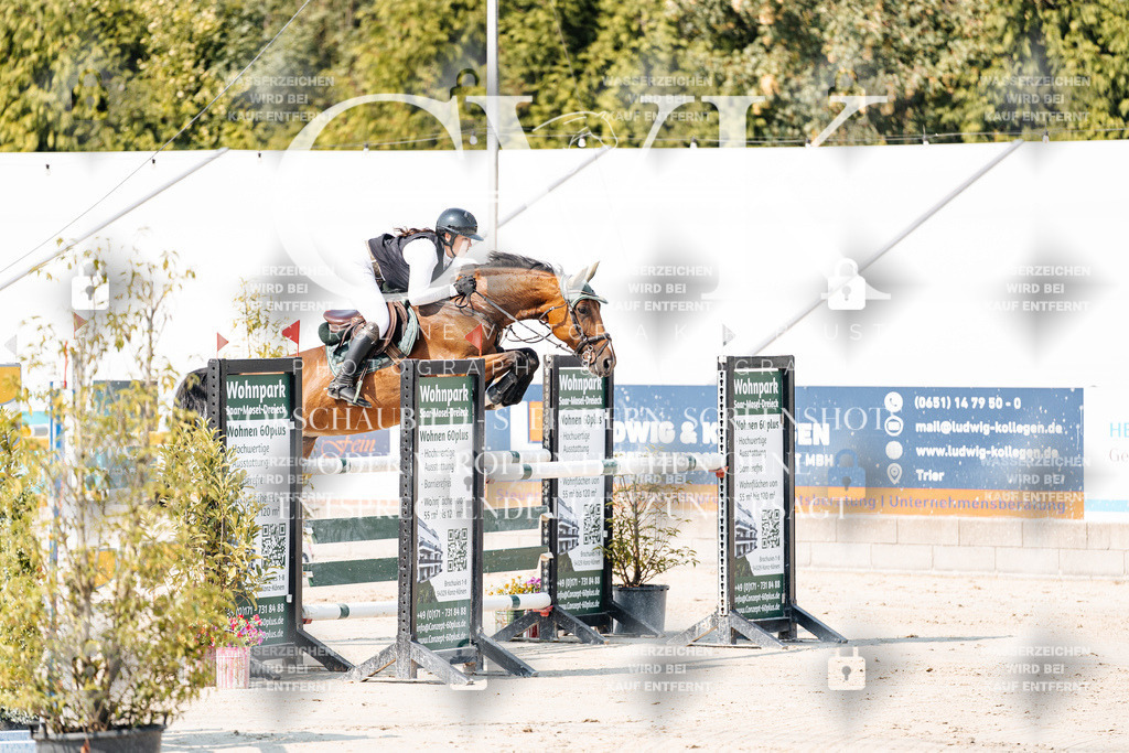 CK902144 | Turnierfotografie Pferdefotografie Trier Rheinland-Pfalz Pferdesport Reitsport Tierfotografie Sportfotografie Pferdevideo Pferdevideografie Equestrianvideography equestrianphotography  - Realisiert mit Pictrs.com