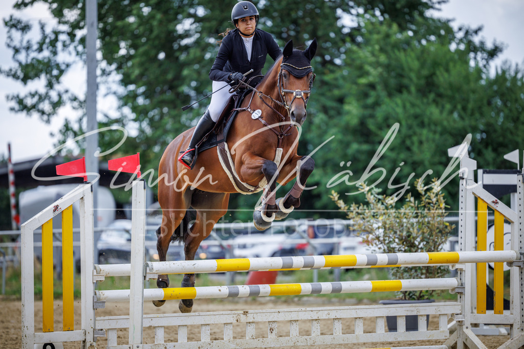 20260705-_3LI5219 | Tierfotografie Pferde, Hunde, Katzen, Haustiere.
Turnierfotografie Reitturniere, Reiten, Springreiten, Dressur in Hanau, dem Main-Kinzig-Kreis und dem Rhein-Main- Gebiet um Frankfurt