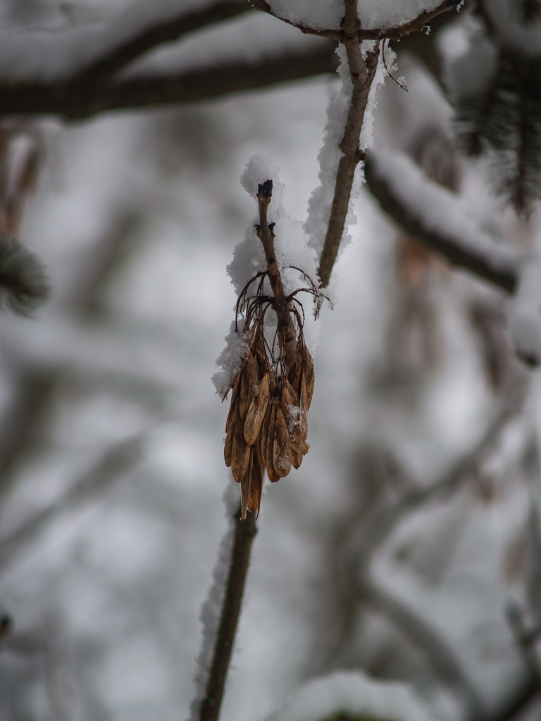 PSX_20230206_223427 | OLYMPUS DIGITAL CAMERA - Realisiert mit Pictrs.com