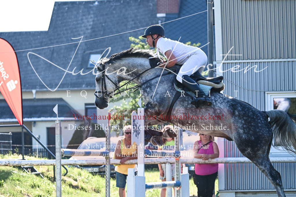 DSC_2654 | Pferde- und Turnierfotografie in Westsachsen. Pferdeportraits, Auftragszeichnungen und intuitive Kunst.