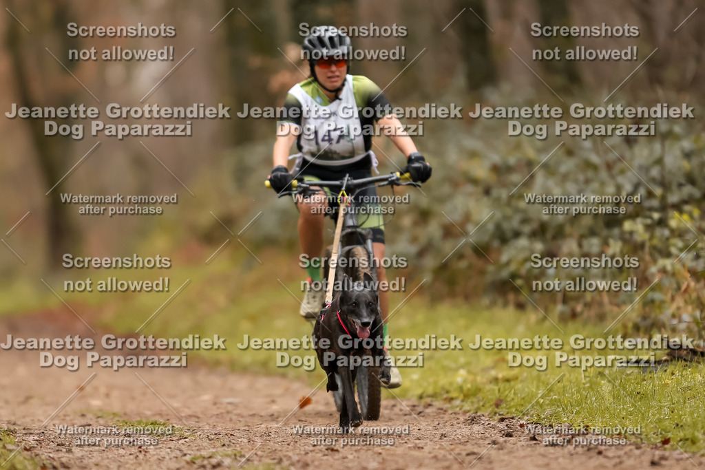 Dog Paparazzi - Speedhunter Mannheim  2025-408 | Dog Paparazzi Jeanette Grottendiek Fotografie & Videografie