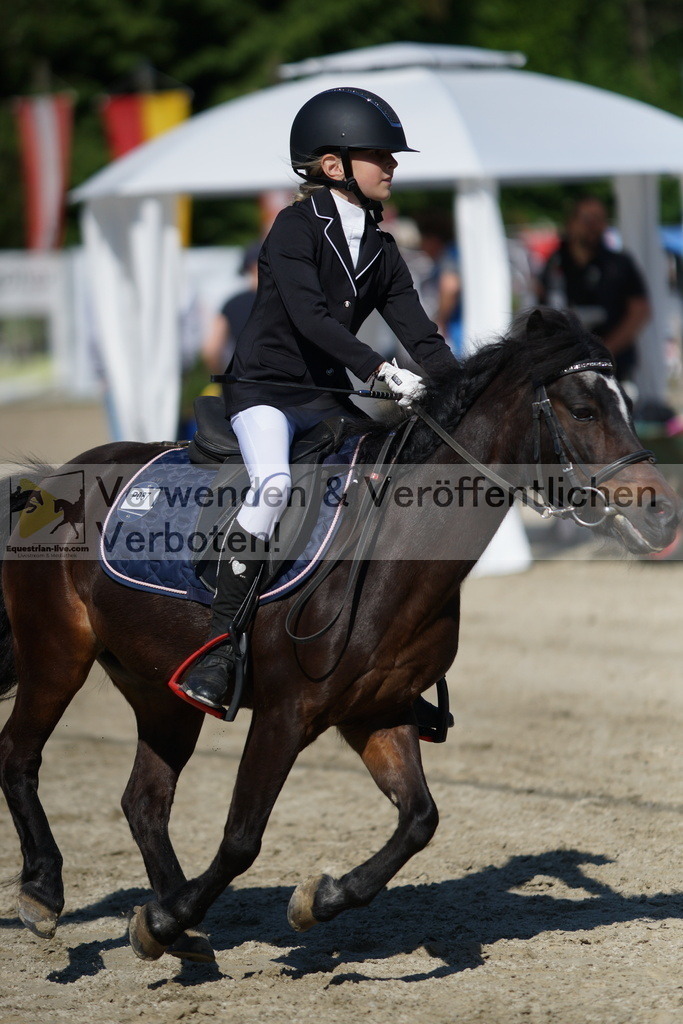DSC06074 | equestrian-live-com
