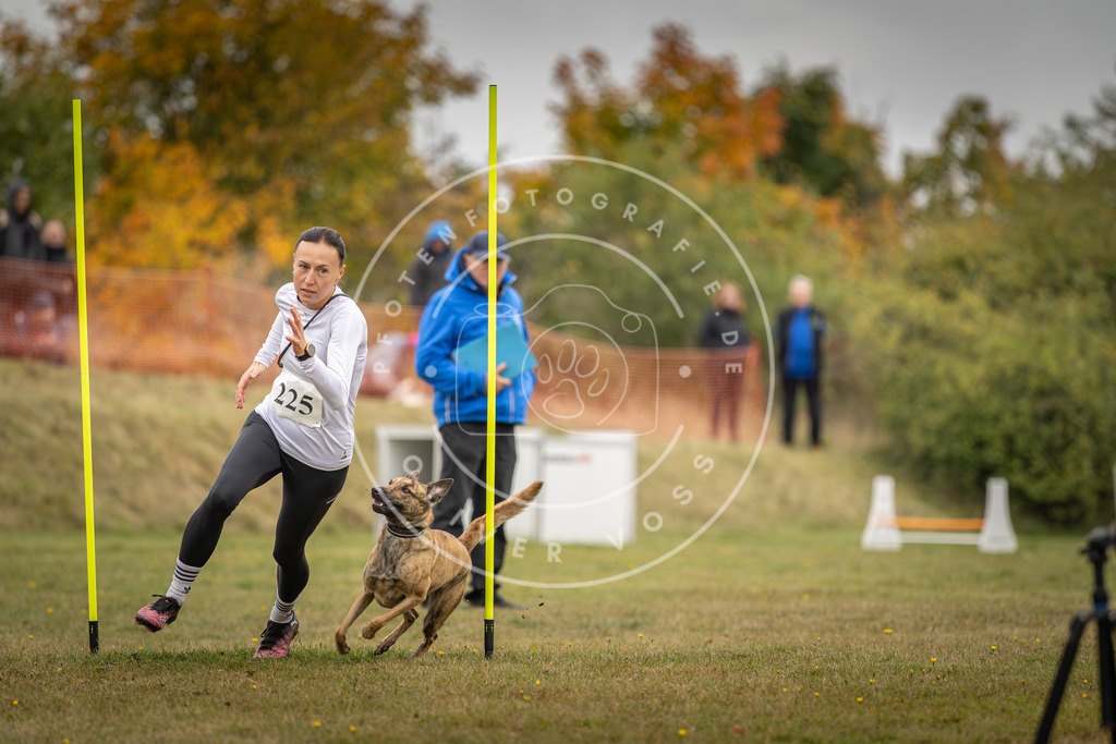 Pfotenfotografie_DV3A3927 | Hundefotografie, Tierfotograf, Pfotenfotografie, Fotoshooting Hund, Hunde Portrait, Hundesport, Hundeportraits, Heideshooting, Hunde, Sportfotograf, Hundefotograf, Turnierhundsport, THS,  - Realisiert mit Pictrs.com