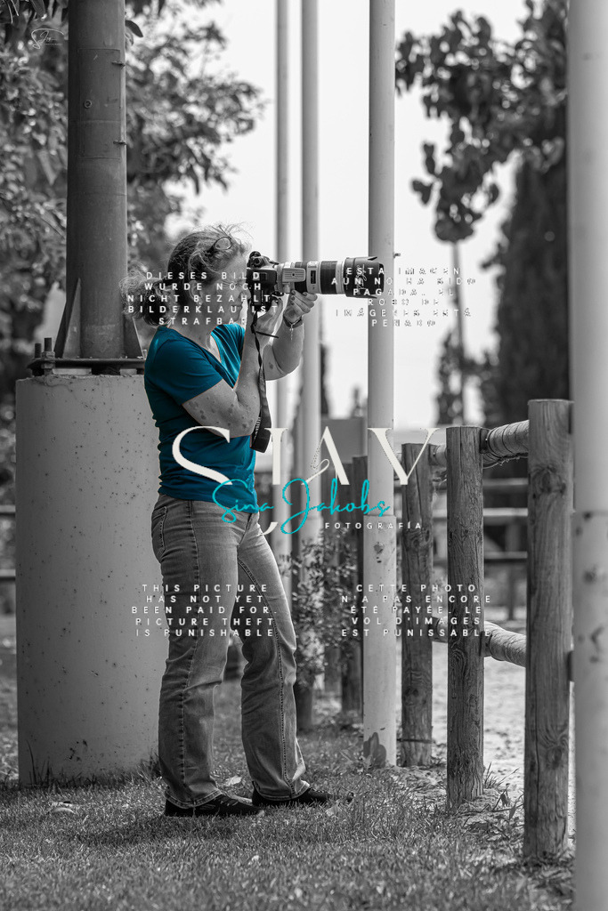 IMG_7832 | s-jay-photography - Realisiert mit Pictrs.com