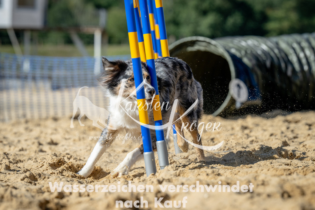 1315_ZZ90038 | kk-dogfotos