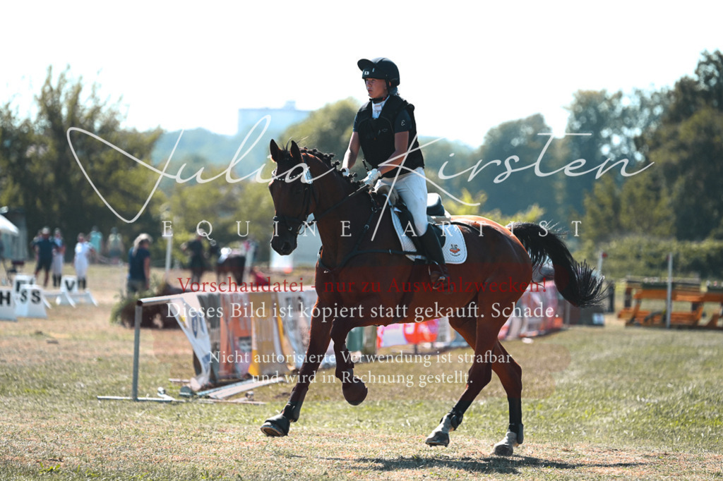 DSC_8388 | Pferde- und Turnierfotografie in Westsachsen. Pferdeportraits, Auftragszeichnungen und intuitive Kunst.