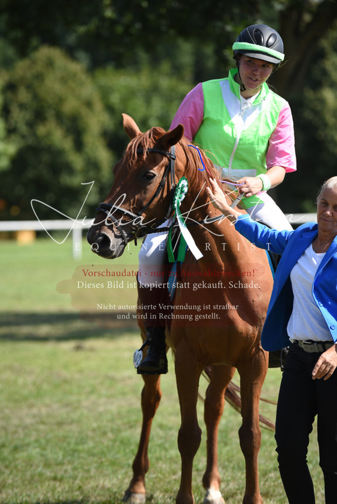 DSC_0477 | Pferde- und Turnierfotografie in Westsachsen. Pferdeportraits, Auftragszeichnungen und intuitive Kunst.