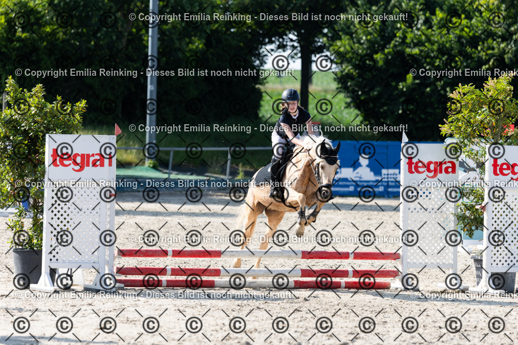 CL5A1233 | Emilia Reinking Fotografie - Realisiert mit Pictrs.com