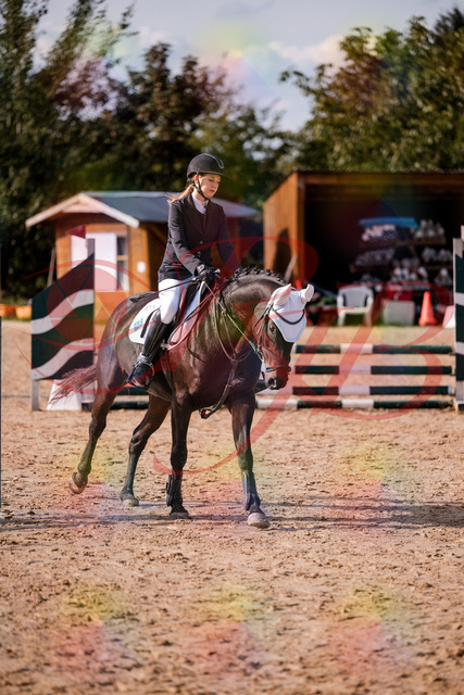 2026_10_03_Siefer-Hof_153549_Z81_48116888 | Professionelle Reitsport-, Turnier- und Eventfotografie von Robert Broda. Galerien mit ausgewählten und bearbeiteten Bildern direkt online ansehen und bestellen.