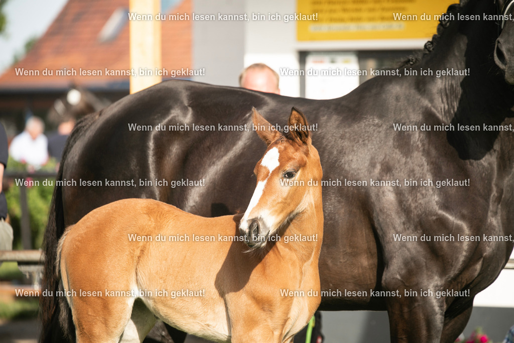 598A7378 | photographylinaismer - Realisiert mit Pictrs.com