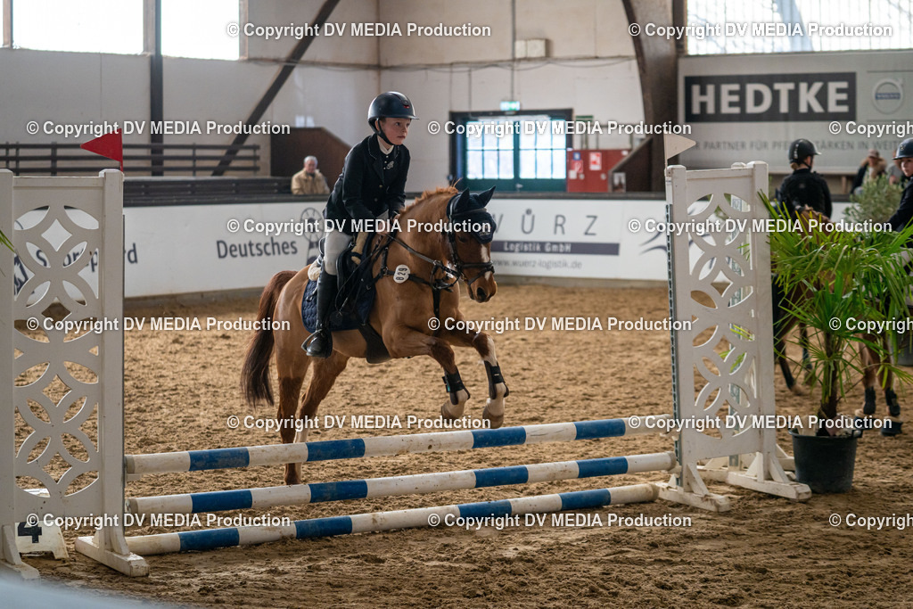 Kranichstein Tag 2-649 | dv-media-shop - Realisiert mit Pictrs.com