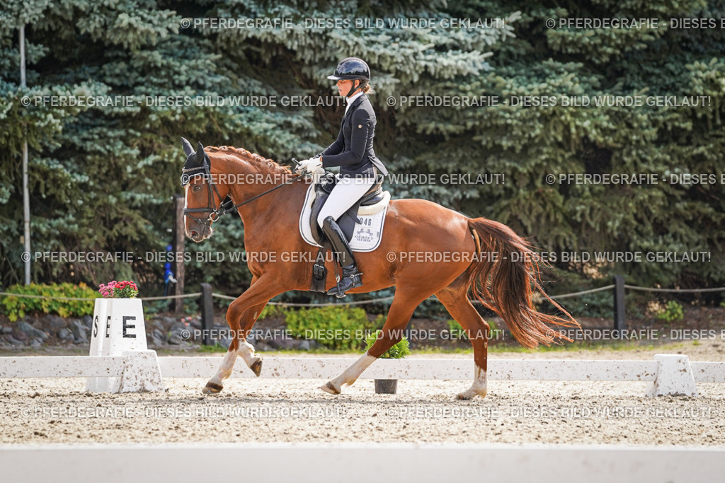 DSC08623 | Pferdegrafie