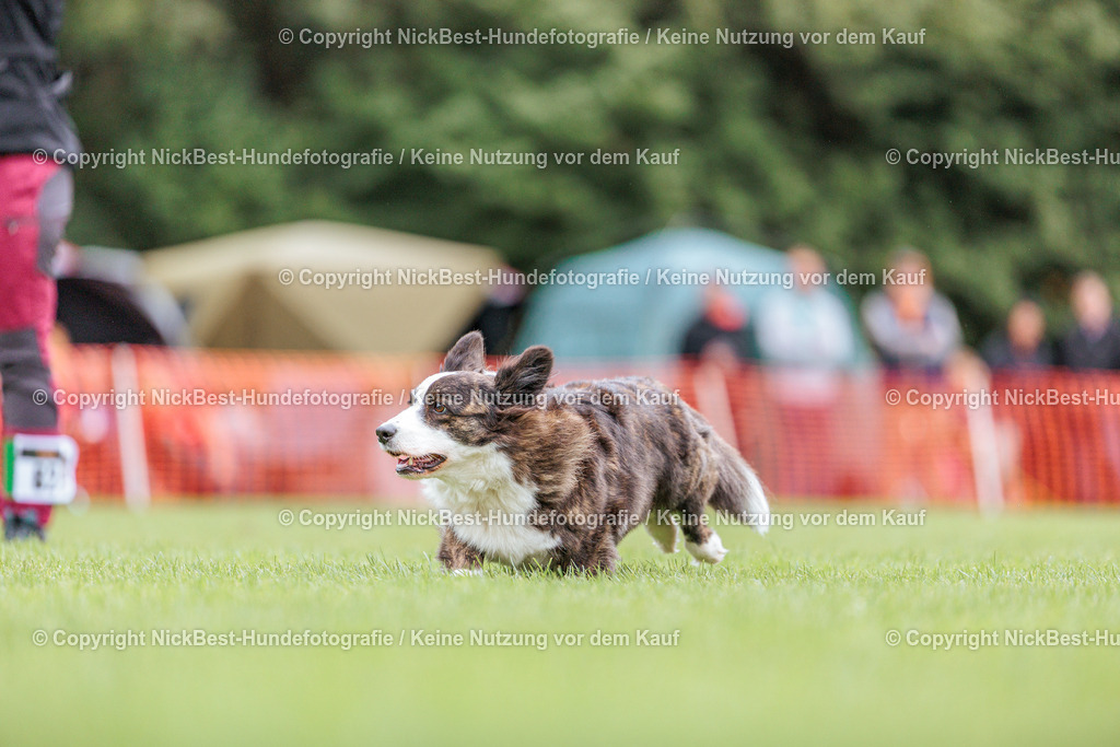 BSP Hoopers-H2 Tag2-2026-Nickbest-Hundefotografie-TuS Komet Arsten e.V.-5251 | Dein Hund! Dein Moment! Deine Erinnerungen! Hundefotografie in Bremen Blumenthal. Ich fange die besonderen Momente deines Vierbeiners ein – ob Indoor mit Blitzanlage oder in der freien Natur. Sicher dir dein Moment und dein Termin für eure Erinnerungen.