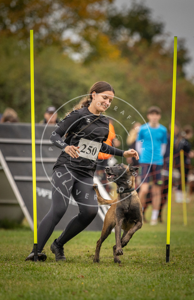 Pfotenfotografie_DV3A6329 | Hundefotografie, Tierfotograf, Pfotenfotografie, Fotoshooting Hund, Hunde Portrait, Hundesport, Hundeportraits, Heideshooting, Hunde, Sportfotograf, Hundefotograf, Turnierhundsport, THS,  - Realisiert mit Pictrs.com