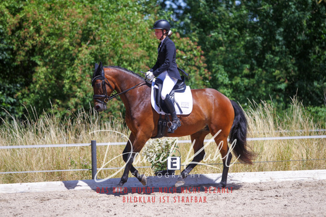 DKP46582 | Turniersportfotografie; Pferdefotografie; Dressurfotografie