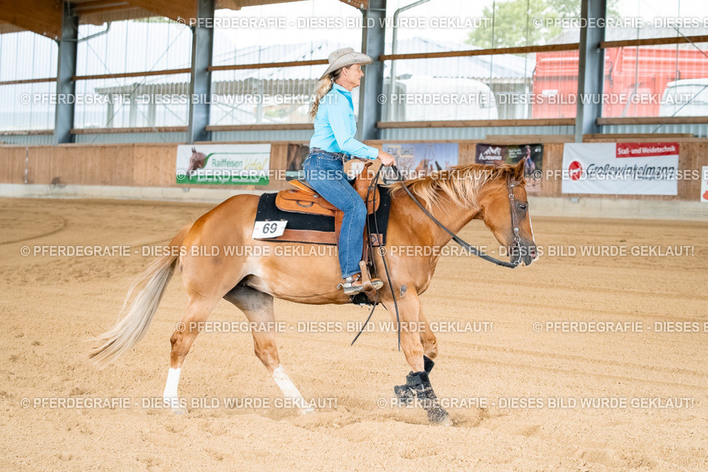 DSC02187 | Pferdegrafie