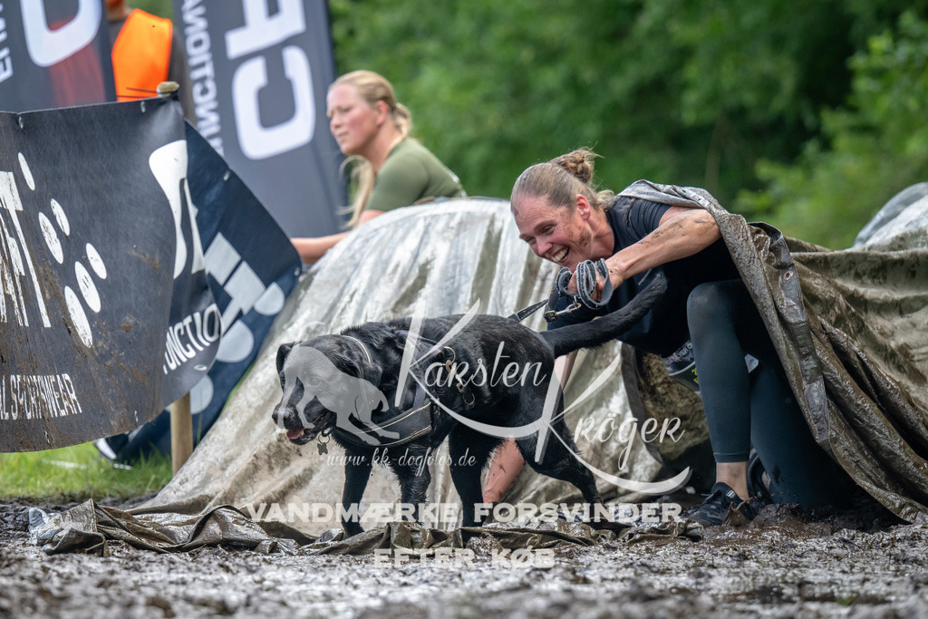 1144_ZZ94111 | kk-dogfotos