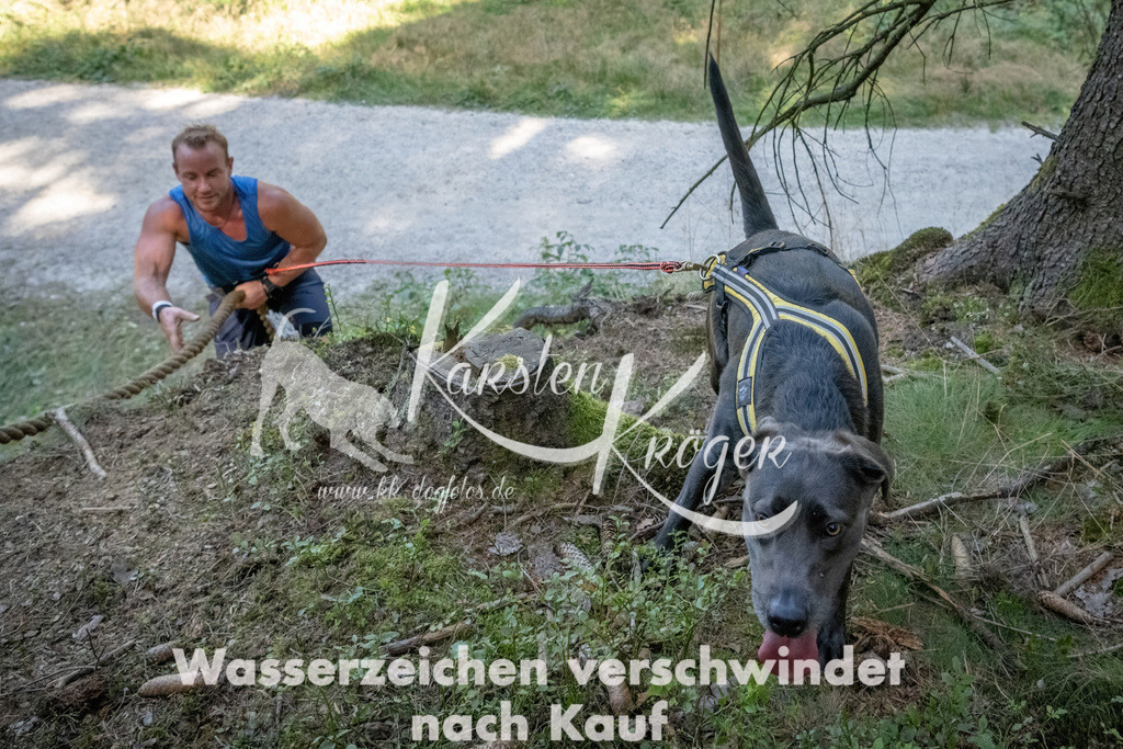 1204_ZZ93279 | kk-dogfotos