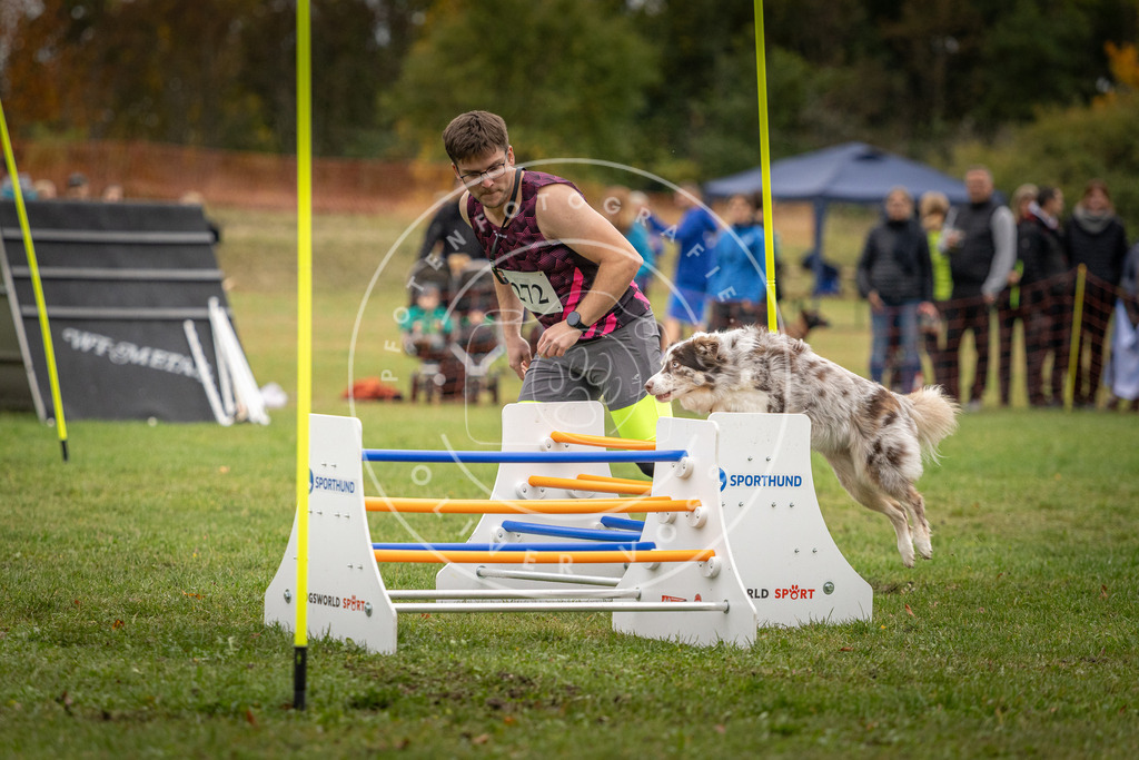 Pfotenfotografie_DV3A9780 | Hundefotografie, Tierfotograf, Pfotenfotografie, Fotoshooting Hund, Hunde Portrait, Hundesport, Hundeportraits, Heideshooting, Hunde, Sportfotograf, Hundefotograf, Turnierhundsport, THS,  - Realisiert mit Pictrs.com