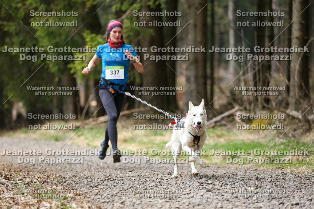 Dog Paparazzi - VCC26-499 | Dog Paparazzi Jeanette Grottendiek Fotografie & Videografie - Realisiert mit Pictrs.com