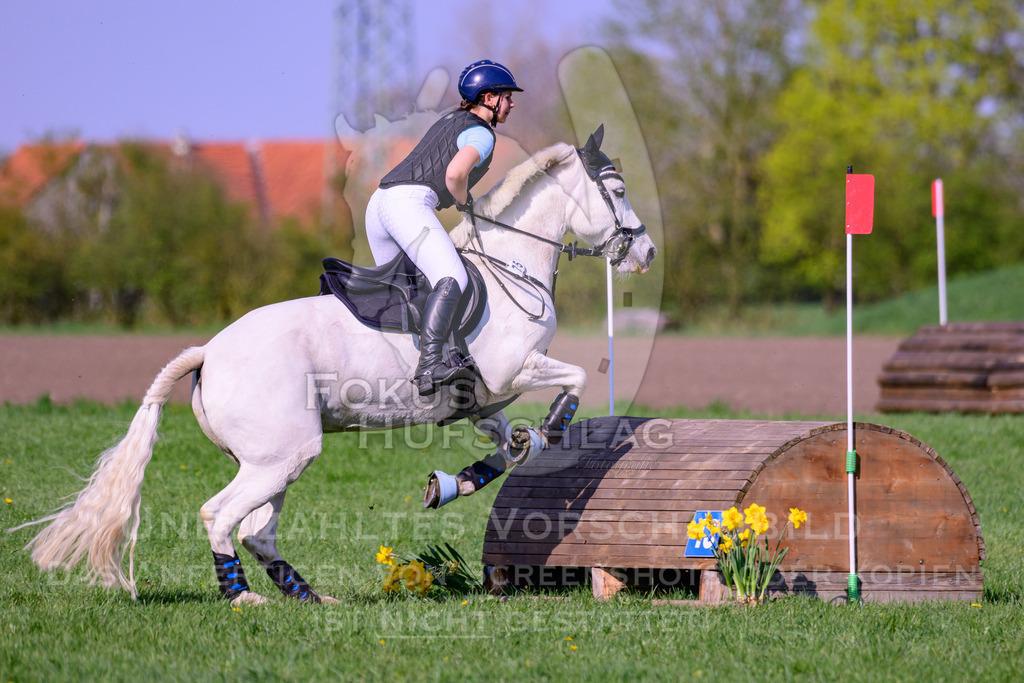 18042026-Gernlinden-04-1-1074 | Fokus Hufschlag Fotografie - Realisiert mit Pictrs.com