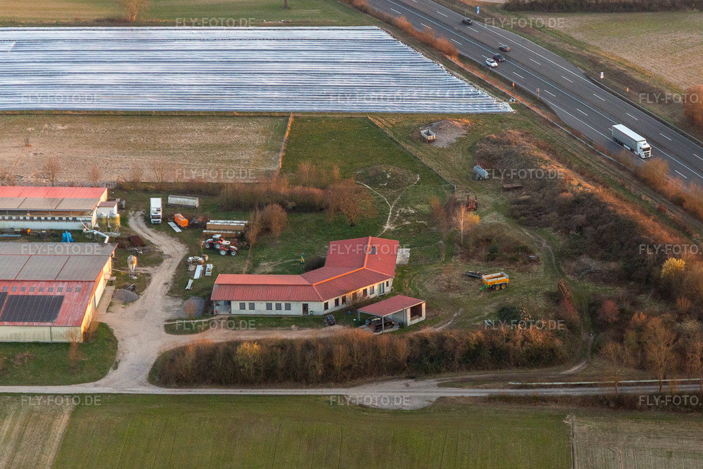 Luftbild: Hühnerhof - Eierfarm in Erlenbach bei Kandel im Bundesland Rheinland-Pfalz in Deutschland. Foto: IMG_130885.jpg vom 09.03.2022 durch Werner Riehm/FLY-FOTO.de