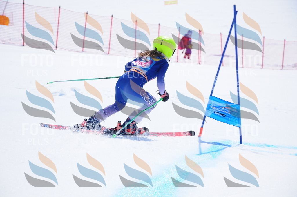 DSC_5380 | holidayphoto