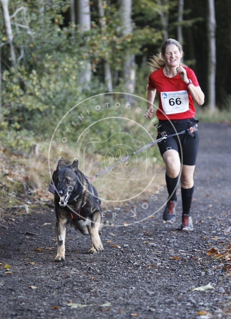 0L8A1915 | Hundefotografie, Tierfotograf, Pfotenfotografie, Fotoshooting Hund, Hunde Portrait, Hundesport, Hundeportraits, Heideshooting, Hunde, Sportfotograf, Hundefotograf, Turnierhundsport, THS,  - Realisiert mit Pictrs.com