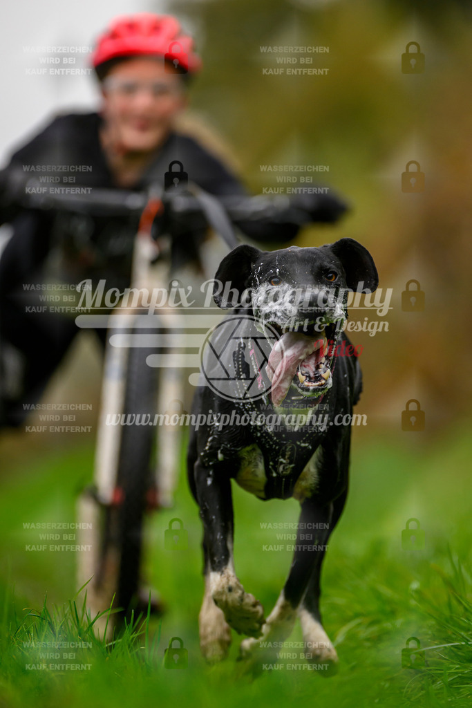 MompixPhotography_20TSB_E8_DS1-40 | PayLife