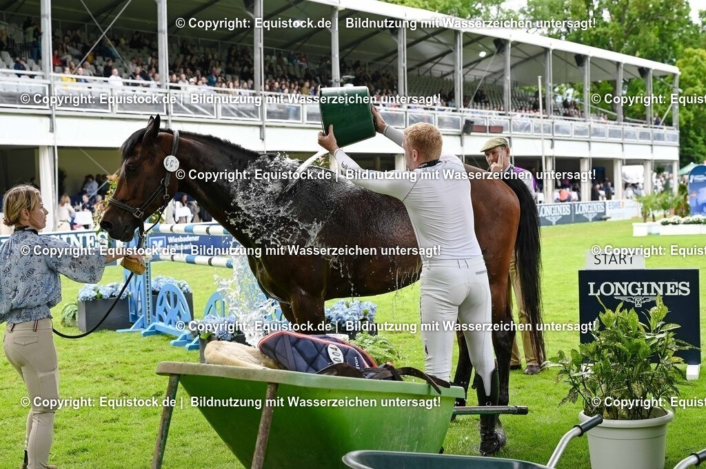 TS_20250607_27_CCI4_Gelände_0157 | Foto: Thomas Hartig
