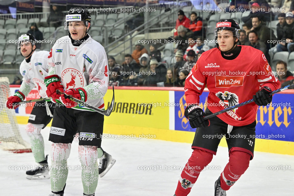 Österreich vs. Ungarn 14.12.2023 | Österreich vs. Ungarn 14.12.2023, Österreich vs. Ungarn  am 14.12.2023 in Klagenfurt (Heidi Horten Arena), Austria, (Photo by Bernd Stefan)