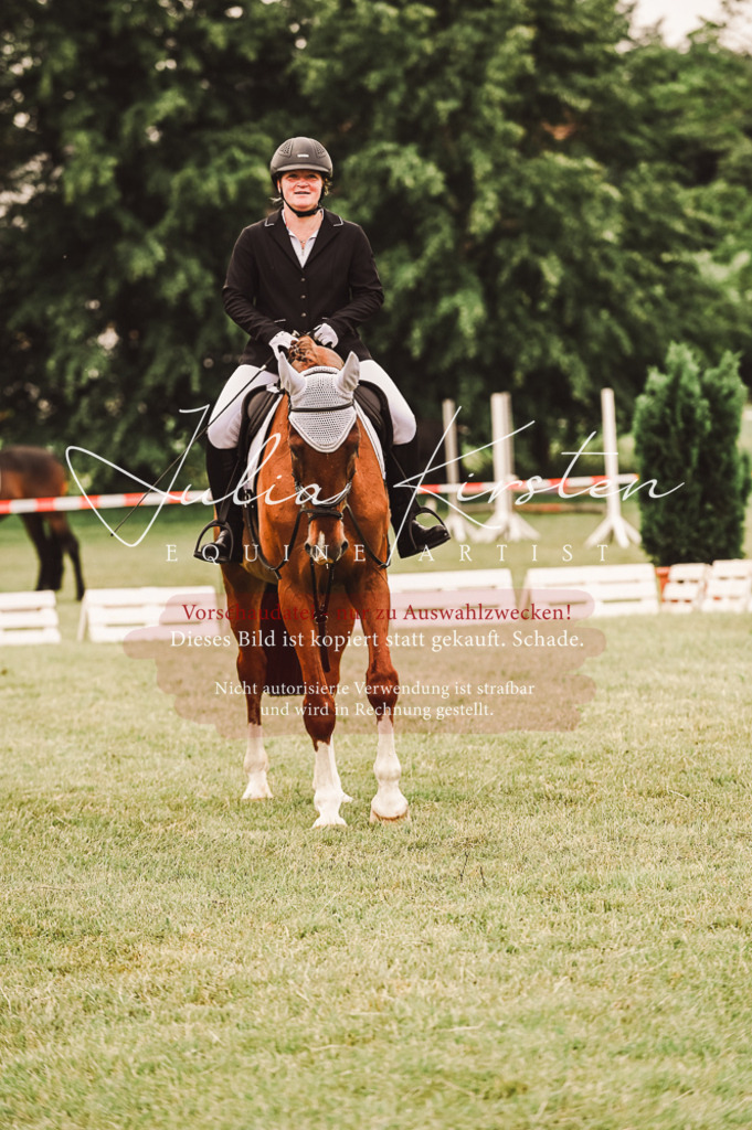 DSC_5138 | Pferde- und Turnierfotografie in Westsachsen. Pferdeportraits, Auftragszeichnungen und intuitive Kunst.