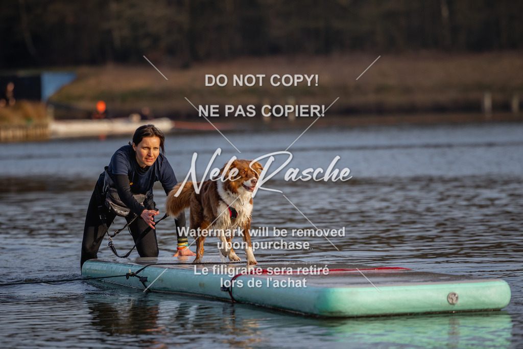 nelerasche_Hulsbeek_Sa1700-1730_12 | nelerasche