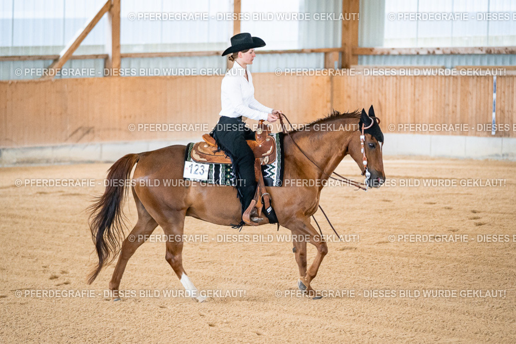 DSC01148 | Pferdegrafie