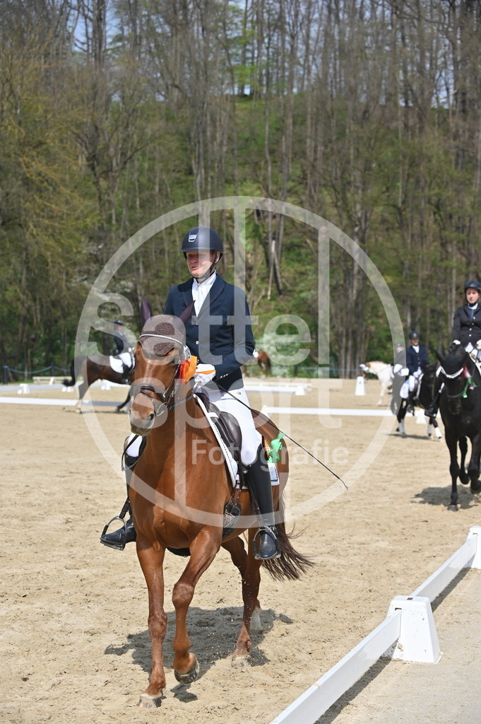 DSC_1531 | sattelsport - Realisiert mit Pictrs.com