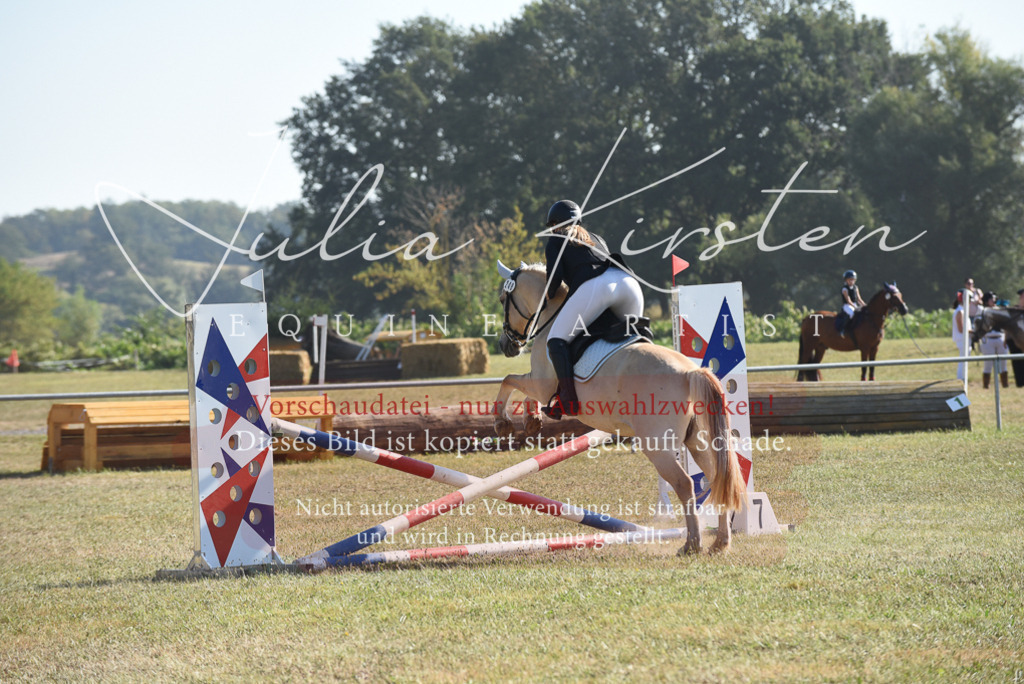 DSC_5843 | Pferde- und Turnierfotografie in Westsachsen. Pferdeportraits, Auftragszeichnungen und intuitive Kunst.