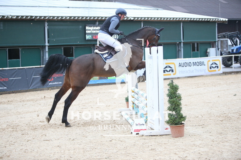 AS8V0795 | Willkommen bei Brunnmayr - Design & Fotografie – Ihrem Spezialisten für Reitturniere und Pferdeveranstaltungen in Oberösterreich, Salzburg und Bayern! Seit über 17 Jahren sind wir leidenschaftlich dabei.